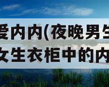 我爱内内(夜晚男生去偷女生衣柜中的内内)