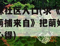 萌妹社区入口(求《四大萌捕来自》把萌妹攻略心得)