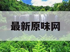 最新原味网