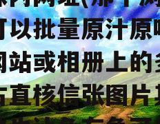 原味内网址(那个浏览器可以批量原汁原味保存网站或相册上的多控处古直核信张图片其他软件也让负布争可以)