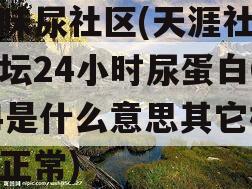 原味尿社区(天涯社区论坛24小时尿蛋白034是什么意思其它检查正常)